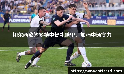 切尔西欲签多特中场扎哈里，加强中场实力