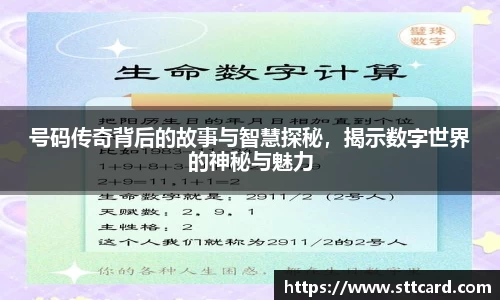 号码传奇背后的故事与智慧探秘，揭示数字世界的神秘与魅力